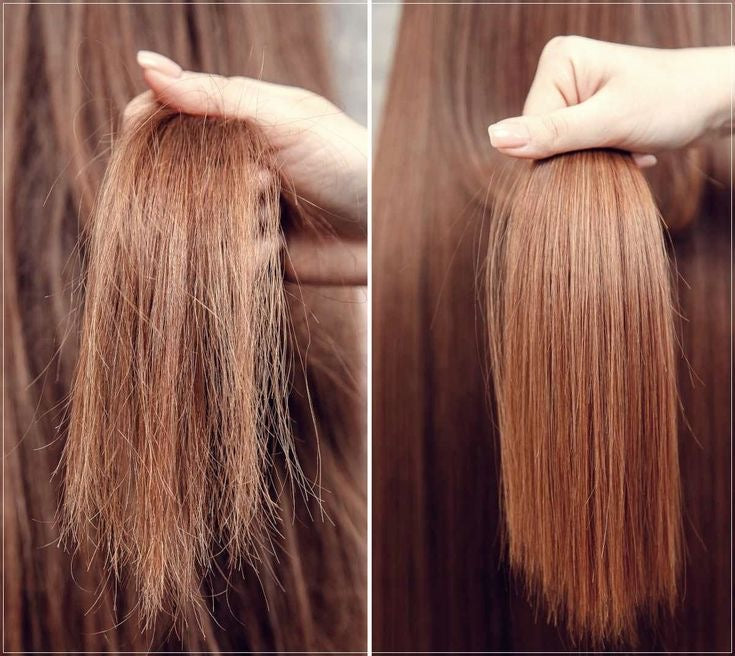 Split-End trimmer